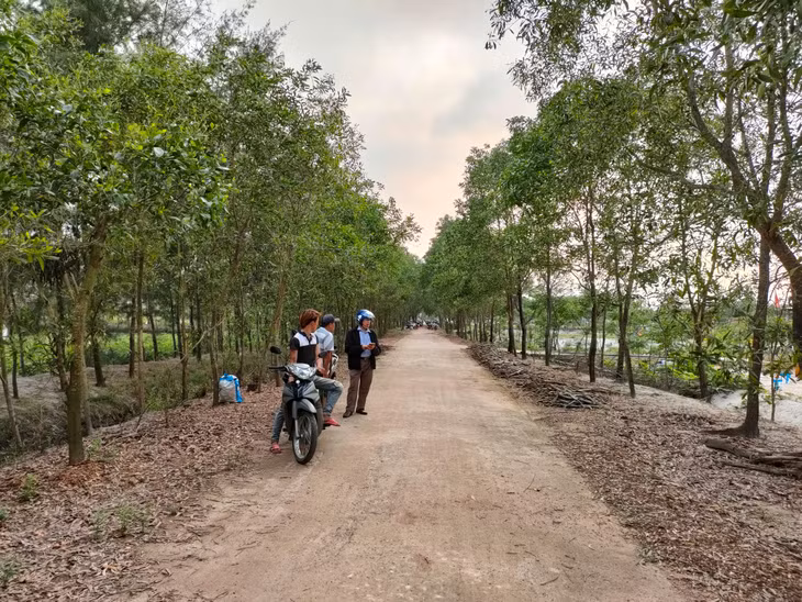 Những lô đất có giá từ 60-70 triệu đồng trên mỗi mét ngang đang được nhiều khách ở xa đến "săn". Ảnh: Ngô Bảo Tín Những lô đất có giá từ 60-70 triệu đồng trên mỗi mét ngang đang được nhiều khách ở xa đến "săn". Ảnh: Ngô Bảo Tín