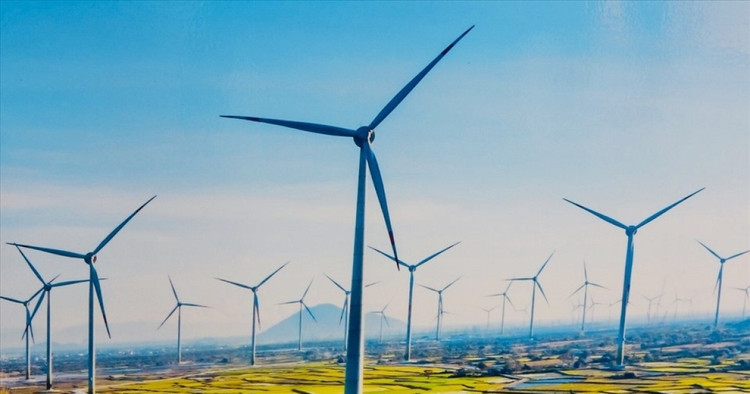 Ảnh minh họa (nguồn: Internet)