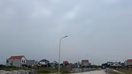 Đấu giá 60 lô đất ở tại xã Hợp Tiến (TP. Hải Phòng). Ảnh minh họa: Internet