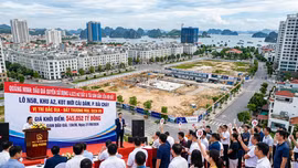Đấu giá quyền sử dụng 4.623 m2 đất và tài sản gắn liền với đất tại KĐT Cái Dăm (Quảng Ninh). Ảnh: AI