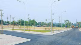 Đấu giá quyền sử dụng 51 thửa đất tại khu Đầm Tiểu Trên, xã Phú Nghĩa (Hà Nội). Ảnh minh họa: Internet