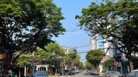 Đấu giá khoản nợ của Công ty CP Thương mại và Dịch vụ Quảng Phát Thành tại VietinBank – Chi nhánh Hội An. Ảnh minh họa: Internet