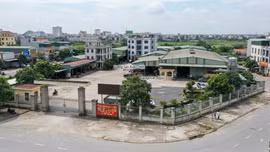 Đấu giá 5.488m² đất thương mại dịch vụ tại phường Hoa Lư (Ninh Bình). Ảnh minh họa: Ai