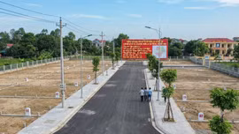 Đấu giá quyền sử dụng 62 lô đất tại Cụm dân cư Dốc Đỏ, xã Quang Trung (Bắc Ninh). Ảnh minh họa: Ai