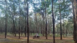 Ngân hàng VietinBank – Chi nhánh Gia Lai vừa thông báo bán đấu giá khoản nợ của Công ty TNHH Kinh doanh hàng xuất khẩu Quang Đức với giá khởi điểm hơn 663 tỷ đồng. Ảnh minh họa: Intrenet