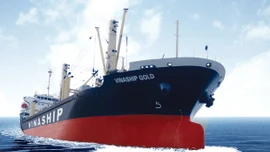 Đấu giá tàu chở hàng khô Vinaship Gold trọng tải hơn 13.000 DWT. Ảnh: Intrenet