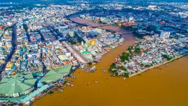 Đấu giá quyền sử dụng đất đối với 3 lô đất lớn tọa lạc tại phường Bình Đức, tỉnh An Giang. Ảnh minh họa: Internet
