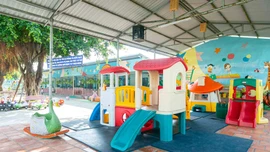 Đấu giá quyền khai thác và tài sản Trường Mầm non Minh Đức (Đồng Tháp). Ảnh minh hoạ: Internet 