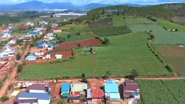 Đấu giá khu đất và công trình rộng hơn 5.500 m2 tại Đơn Dương (Lâm Đồng). Ảnh minh họa: Internet