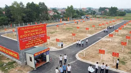 Đấu giá quyền sử dụng 90 lô đất ở tại xã Quảng Yên (Thanh Hóa). Ảnh minh họa: Ai