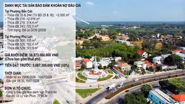 Đấu giá khoản nợ của Công ty TNHH Cầu Đường – Xây Dựng Phước Sơn tại Agribank Chi nhánh Bình Dương được bảo đảm bằng danh mục nhiều quyền sử dụng đất diện tích lớn tạiTP.HCM. Ảnh minh họa: Internet 