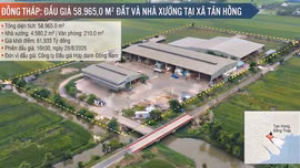 Đấu giá 58.965 m² đất và nhà xưởng tại xã Tân Hồng (Đồng Tháp). Ảnh minh họa: Ai