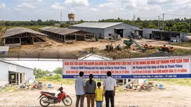 Đấu giá hơn 3,4 ha đất và hệ thống nhà xưởng của Công ty Xây dựng và Đầu tư Thành Thắng. Ảnh minh họa: AI