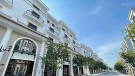 Đấu giá căn nhà hơn 100m2 tại Vinhomes Ocean Park 3. Ảnh minh họa: Internet