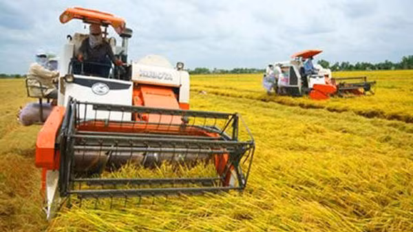 Ảnh minh họa. Nguồn Internet