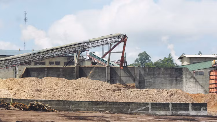 Sau khoảng 3 lần gia hạn bán đấu giá và giảm giá, đến nay, Dự án Nhà máy Bột giấy Phương Nam vẫn chưa có người mua. Ảnh: Tiên Giang