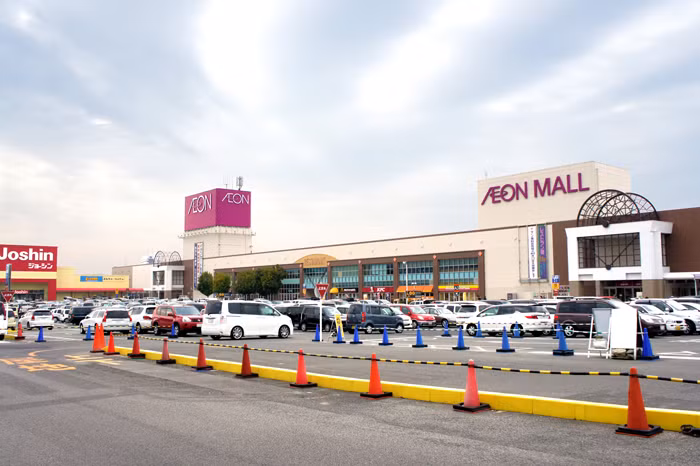 Hàng Nhật sẽ vào Việt Nam thông qua hệ thống các siêu thị lớn. Ảnh: Mỹ Anh