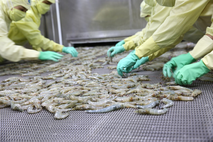 Đã có 20 tập đoàn, công ty hàng đầu thế giới đang bắt tay với Chính phủ, các địa phương phát triển nông nghiệp. Ảnh: Lê Tiên