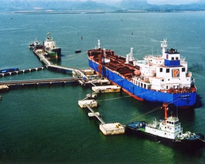 Tổng giám đốc Vipco có dấu hiệu thiếu trách nhiệm gây hậu quả nghiêm trọng