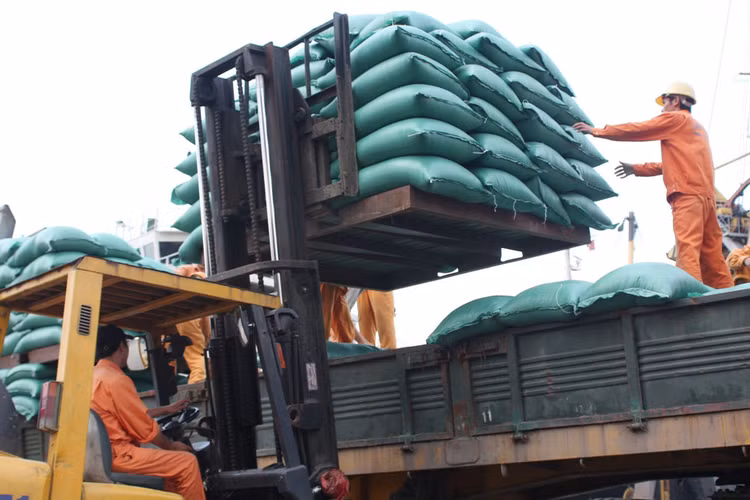 Gạo mua nhập kho dự trữ quốc gia tại miền Bắc được yêu cầu phải xay xát từ thóc vụ Đông Xuân năm 2018 tại Nam Bộ, điều này sẽ phát sinh thêm chi phí vận chuyển. Ảnh: Lê Tiên