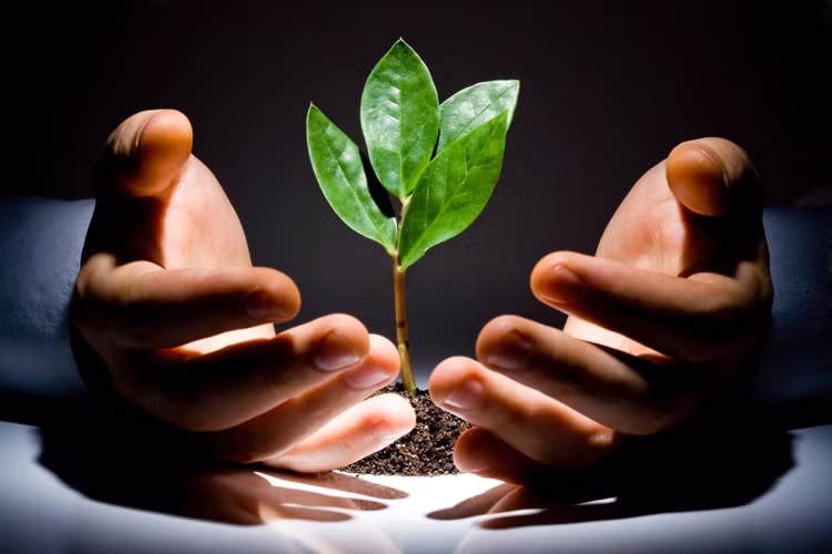 Thời cơ thuận lợi cho khởi sự kinh doanh