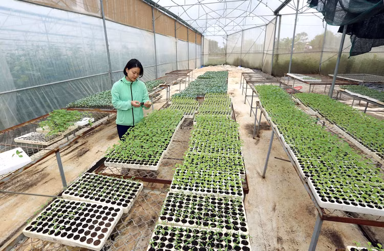 Diễn đàn kinh tế hợp tác, hợp tác xã 2020 được kỳ vọng sẽ tìm ra các cơ chế chính sách xử lý khó khăn vướng mắc cho các hợp tác xã. Ảnh: Huấn Anh