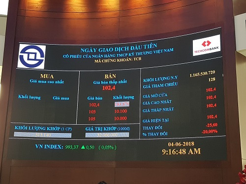 Dù giảm 20%, Techcombank vẫn là cổ phiếu có vốn hóa thứ hai trong nhóm ngân hàng.