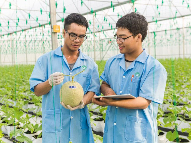 Các sản phẩm nông nghiệp sạch đã góp phần mang về cho PAN Group mức doanh thu và lợi nhuận vượt bậc trong năm 2017 và quý I/2018 