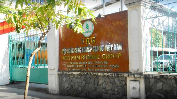 Tập đoàn Công nghiệp cao su Việt Nam có 983 gói thầu áp dụng chỉ định thầu trong tổng số 1392 gói thầu được thực hiện trong năm 2018. Ảnh: Đặng Trung