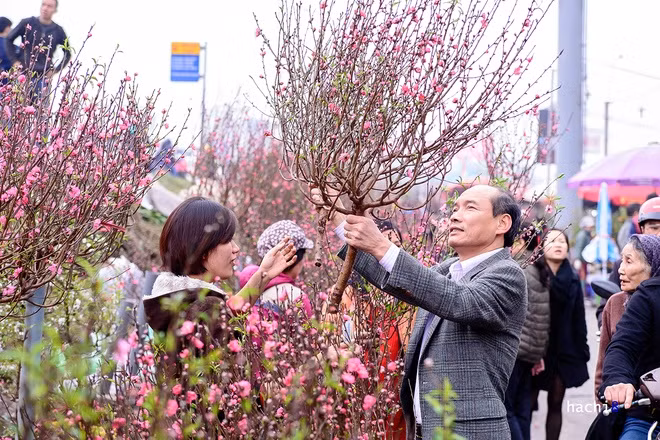 Rực rỡ phiên chợ Hà Nội cuối năm