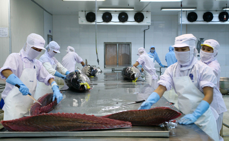 Việt Nam đứng thứ 5 trong các nền kinh tế có thặng dư thương mại lớn với Mỹ, sau Trung Quốc, EU, Mexico và Nhật Bản. Ảnh: Lê Tiên