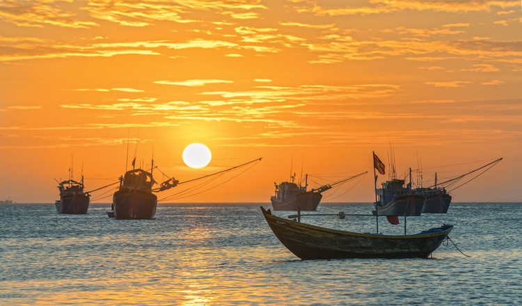 Khát vọng vươn cao