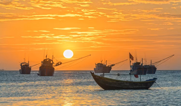 Khát vọng vươn cao