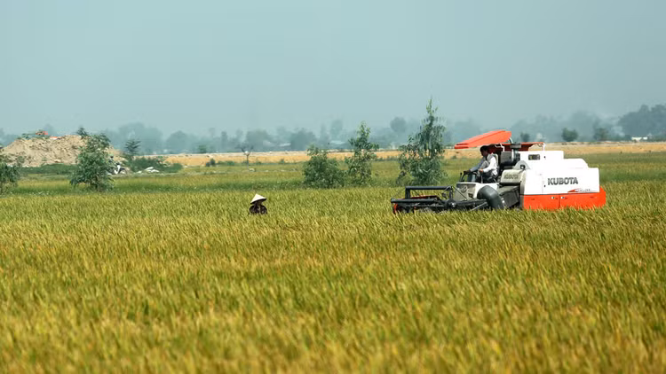 Nguồn vốn hỗ trợ với vai trò vốn mồi chưa đến được với doanh nghiệp đầu tư vào nông nghiệp, nông thôn. Ảnh: Nhã Chi