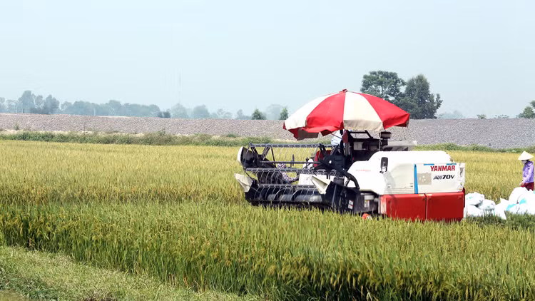 Dự kiến, Nhà nước sẽ dành 2.000 tỷ đồng mỗi năm để hỗ trợ doanh nghiệp đầu tư vào nông nghiệp, nông thôn. Ảnh: Lê Tiên