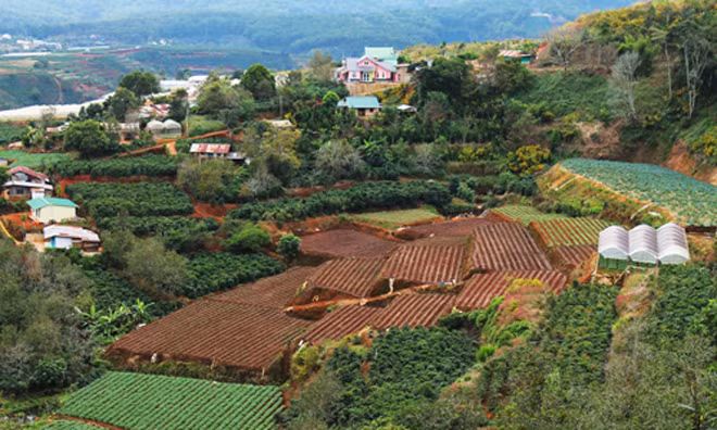 Làn sóng thâu tóm đất nông trại được dự báo sẽ được nhà đầu tư cá nhân và tổ chức nhập cuộc năm 2016.