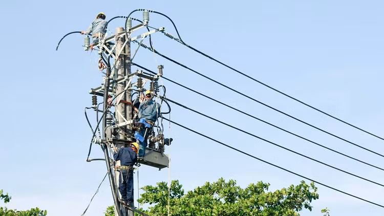 Với gói thầu bị chấm dứt hợp đồng, VNECO7 chào giá chỉ bằng khoảng một nửa giá gói thầu. Ảnh: Thế Anh