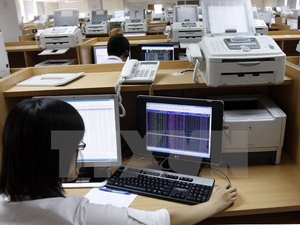 Ảnh minh họa. (Nguồn: TTXVN) 