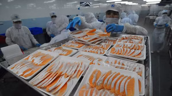 Cá hồi là một trong số mặt hàng chưa có "giấy thông hành" vào thị trường Trung Quốc. Ảnh: Vifep