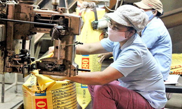 675 tỷ đồng xây Nhà máy thức ăn chăn nuôi tại Đồng Tháp. Ảnh Internet