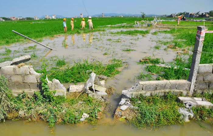 Sau vụ đổ cột điện tại Dự án Đường dây 500kV Quảng Ninh - Hiệp Hòa, PCC1 lại bị tố rút ruột công trình. Ảnh: Nguyễn Hiệp
