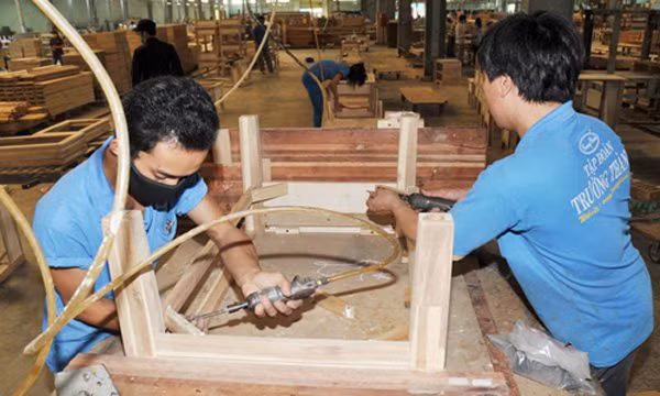 Đơn vị kiểm toán cũng đặt ra nghi ngờ về khả năng hoạt động liên tục của Gỗ Trường Thành. Ảnh:Viettimes