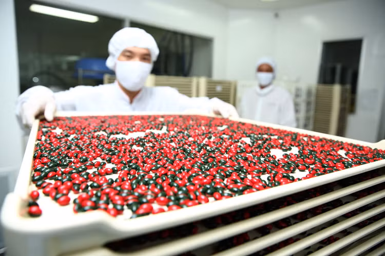 Luật Dược 2016 đã tạo khung pháp lý thuận lợi trong việc thu hút nhà đầu tư trong và ngoài nước tham gia vào lĩnh vực dược phẩm. Ảnh: Lê Tiên