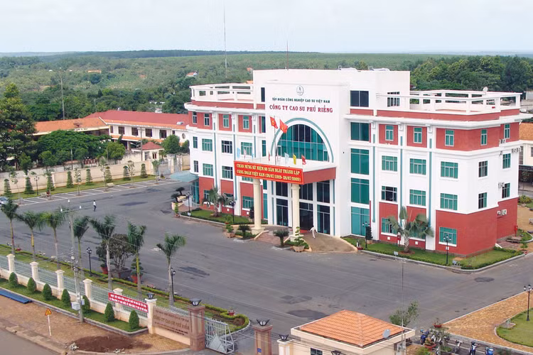 6 tháng đầu năm 2017, Cao su Phú Riềng đạt 86 tỷ đồng lợi nhuận sau thuế. Ảnh: Quang Tuấn