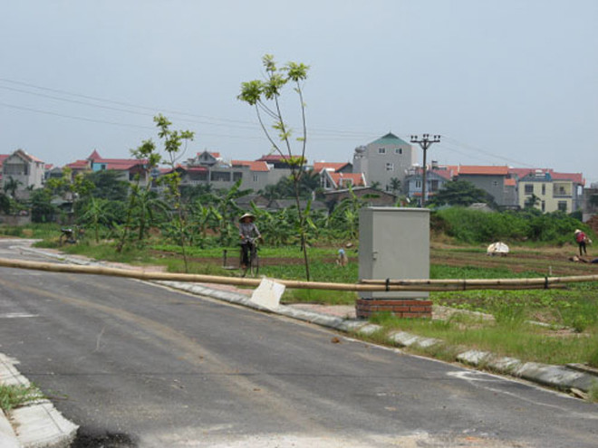 Ảnh minh hoạ. Nguồn: Internet