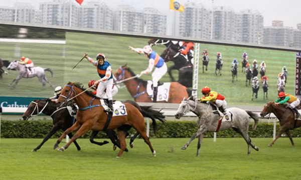 Nhiều dự án xây dựng trường đua được hồi sinh hoặc xin cấp phép mới trong thời gian gần đây.Ảnh minh họa