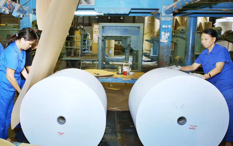 Dù lợi nhuận trước thuế năm 2017 tăng trưởng 728% nhưng Vinapaco vẫn ngập trong nợ nần. Ảnh: Lê Tiên