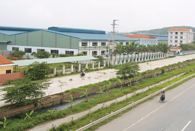 Cổ phiếu CIG khởi sắc nhờ được thâu tóm