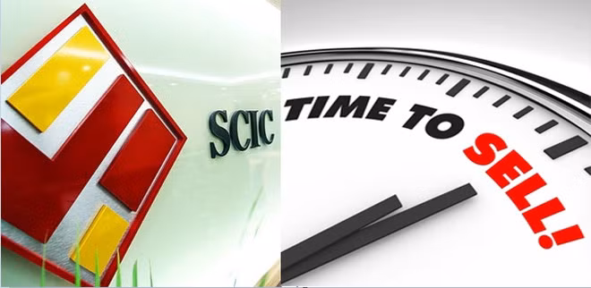 Hai nhà đầu tư cá nhân “gom” sạch gần 3,3 triệu cổ phiếu QNC từ SCIC