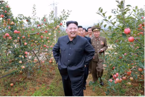 Ông Kim Jong-un đến thăm một nông trại cây ăn quả. Ảnh:Rodong Sinmun